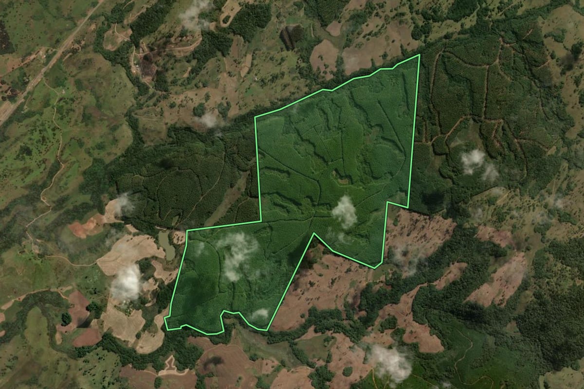 Imagem de satélite do imóvel rural em Capão Alto (SC), com o contorno declarado no CAR desenhado por cima.