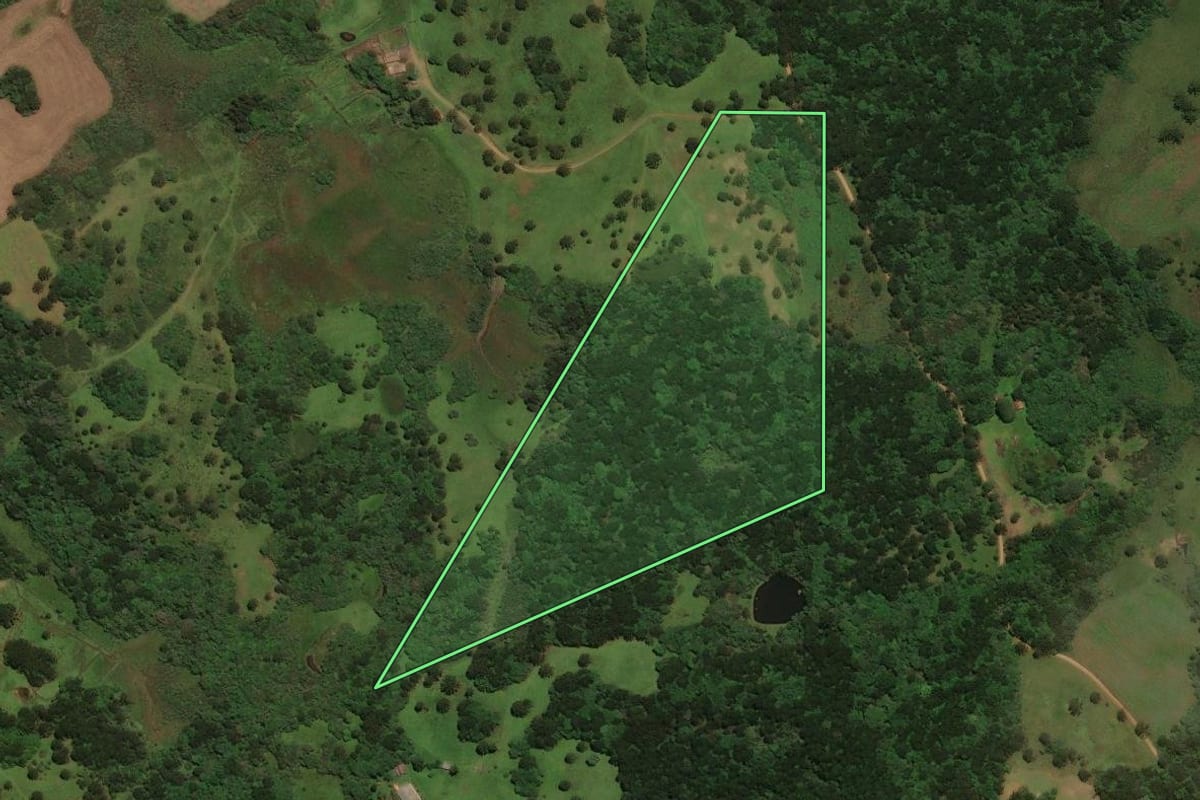Imagem de satélite do imóvel rural em Capão Alto (SC), com o contorno declarado no CAR desenhado por cima.