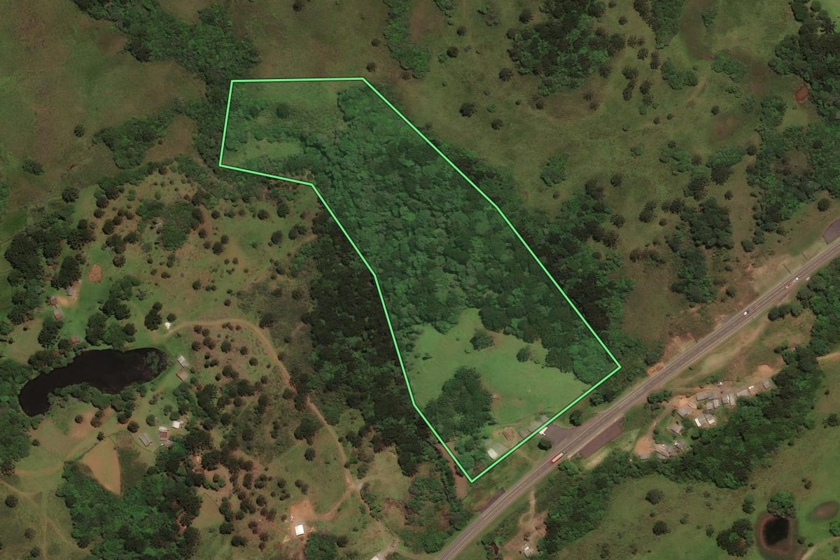 Imagem de satélite do imóvel rural em Capão Alto (SC), com o contorno declarado no CAR desenhado por cima.