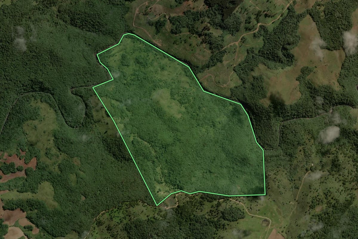 Imagem de satélite do imóvel rural em Capão Alto (SC), com o contorno declarado no CAR desenhado por cima.