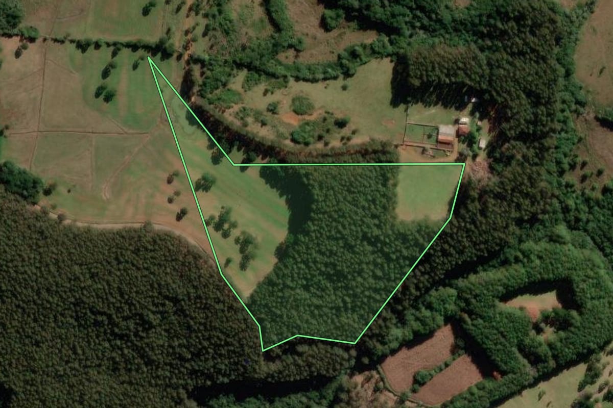 Imagem de satélite do imóvel rural em Capão Alto (SC), com o contorno declarado no CAR desenhado por cima.