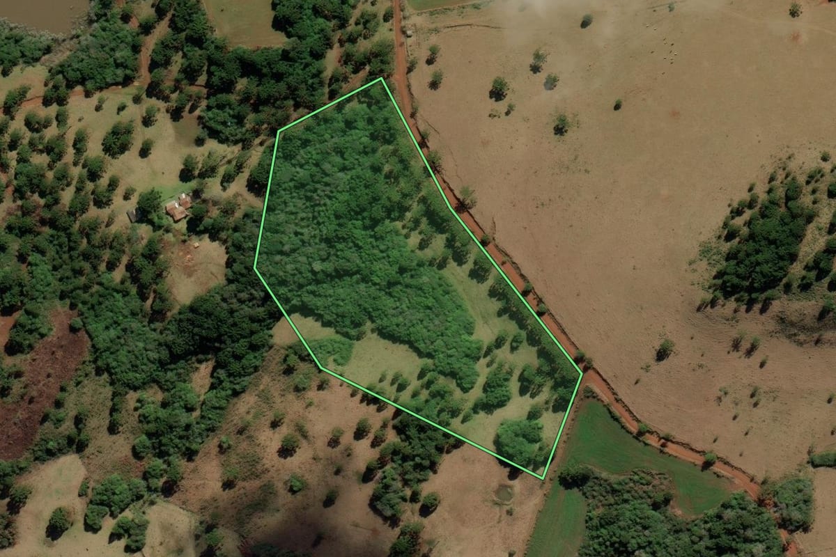 Imagem de satélite do imóvel rural em Capão Alto (SC), com o contorno declarado no CAR desenhado por cima.