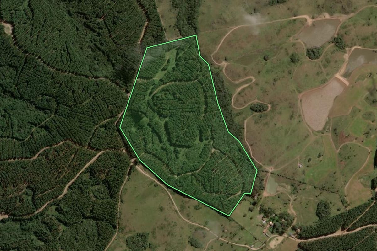 Imagem de satélite do imóvel rural em Capão Alto (SC), com o contorno declarado no CAR desenhado por cima.