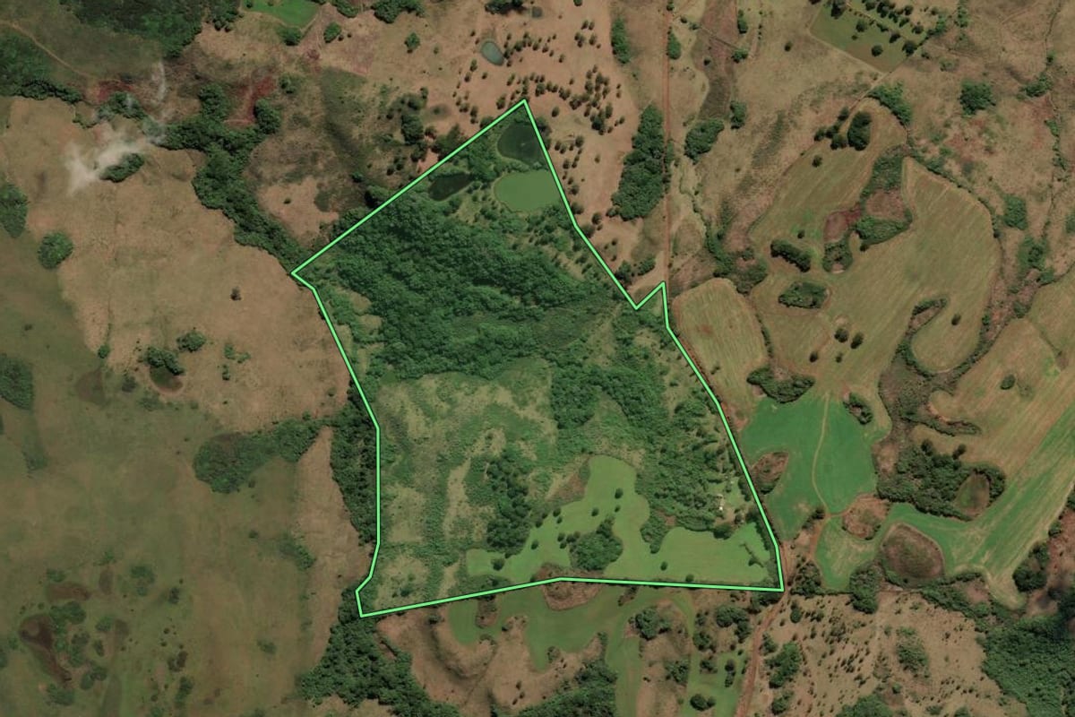 Imagem de satélite do imóvel rural em Capão Alto (SC), com o contorno declarado no CAR desenhado por cima.