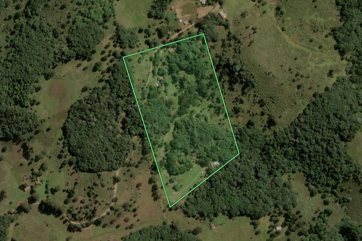 Imagem de satélite do imóvel rural em Capão Alto (SC), com o contorno declarado no CAR desenhado por cima.