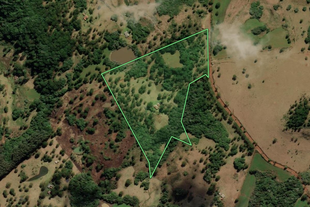 Imagem de satélite do imóvel rural em Capão Alto (SC), com o contorno declarado no CAR desenhado por cima.
