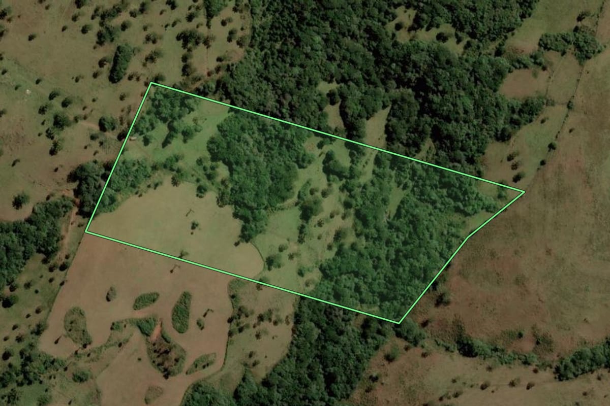 Imagem de satélite do imóvel rural em Capão Alto (SC), com o contorno declarado no CAR desenhado por cima.