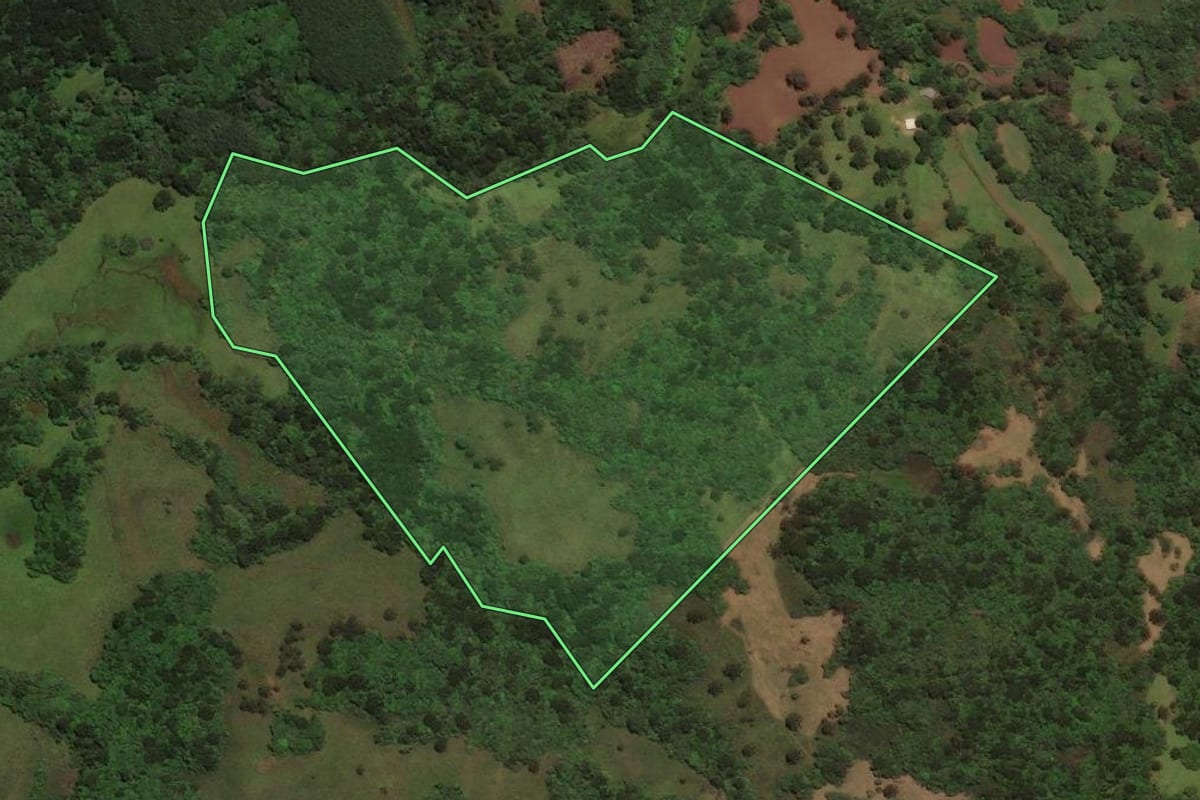 Imagem de satélite do imóvel rural em Capão Alto (SC), com o contorno declarado no CAR desenhado por cima.
