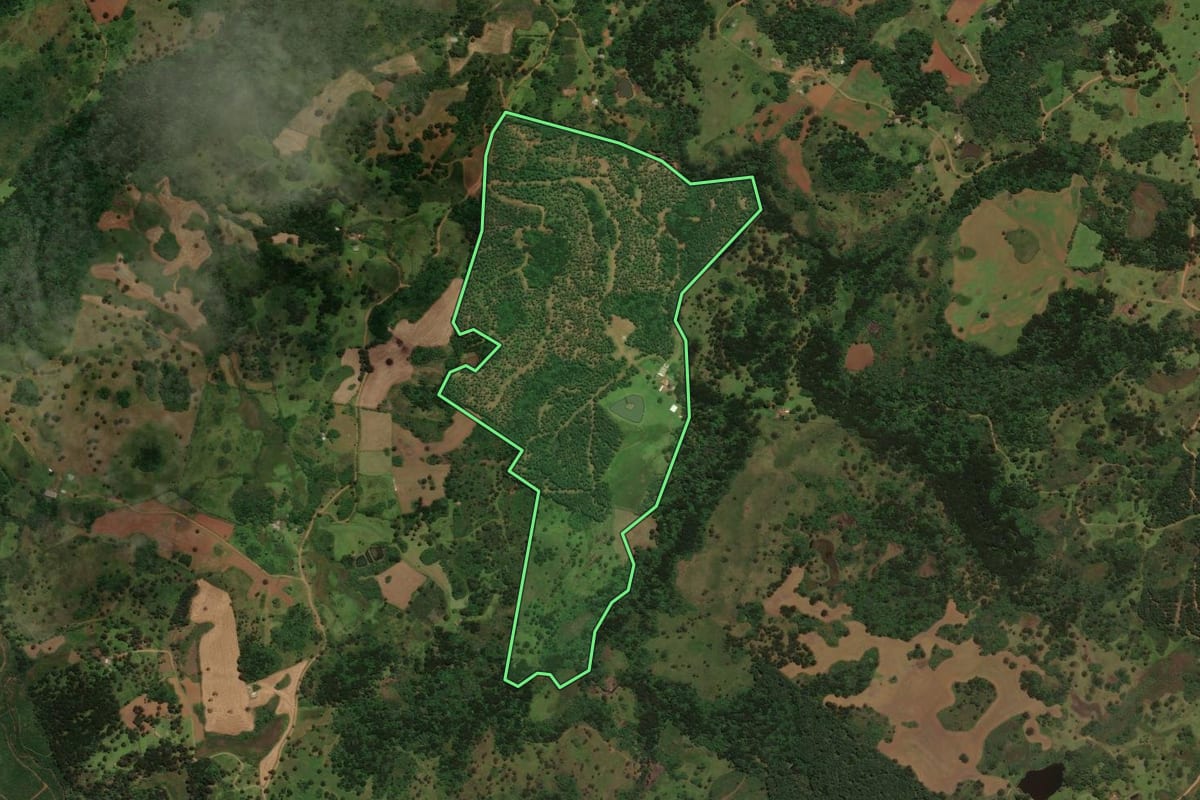 Imagem de satélite do imóvel rural em Capão Alto (SC), com o contorno declarado no CAR desenhado por cima.