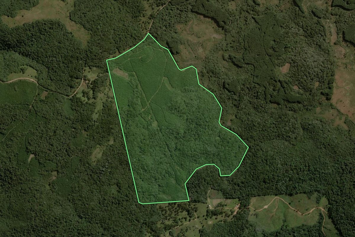 Imagem de satélite do imóvel rural em Capão Alto (SC), com o contorno declarado no CAR desenhado por cima.