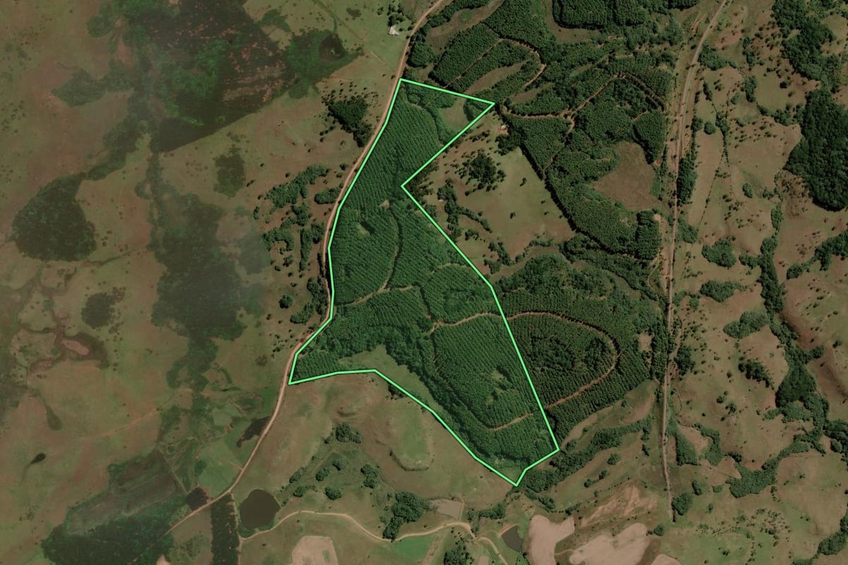 Imagem de satélite do imóvel rural em Capão Alto (SC), com o contorno declarado no CAR desenhado por cima.