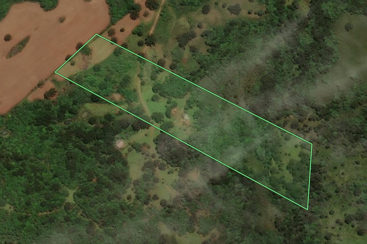 Imagem de satélite do imóvel rural em Capão Alto (SC), com o contorno declarado no CAR desenhado por cima.