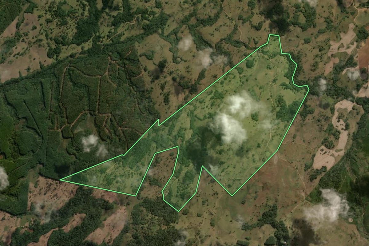 Imagem de satélite do imóvel rural em Capão Alto (SC), com o contorno declarado no CAR desenhado por cima.