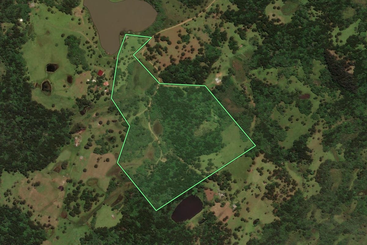 Imagem de satélite do imóvel rural em Capão Alto (SC), com o contorno declarado no CAR desenhado por cima.