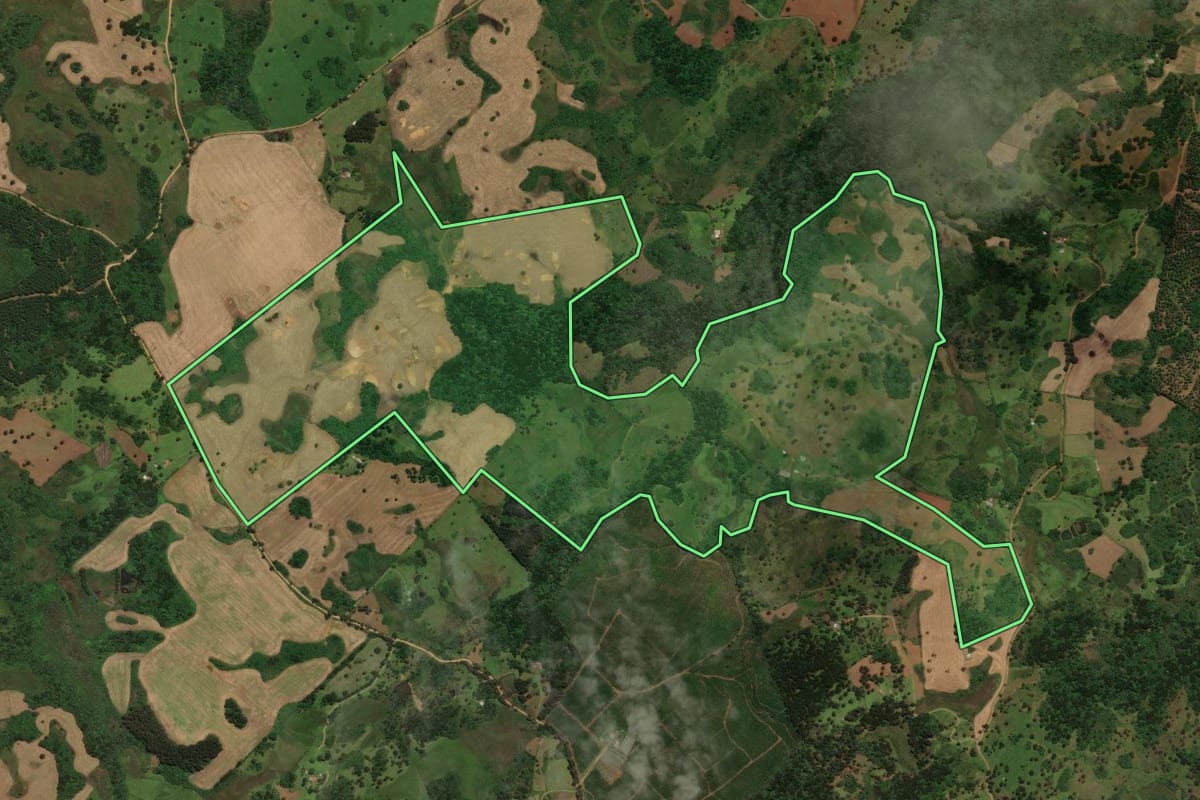 Imagem de satélite do imóvel rural em Capão Alto (SC), com o contorno declarado no CAR desenhado por cima.