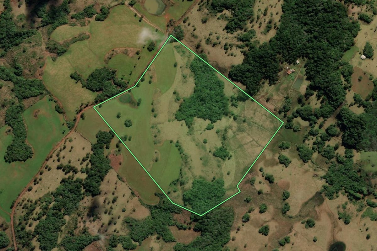 Imagem de satélite do imóvel rural em Capão Alto (SC), com o contorno declarado no CAR desenhado por cima.