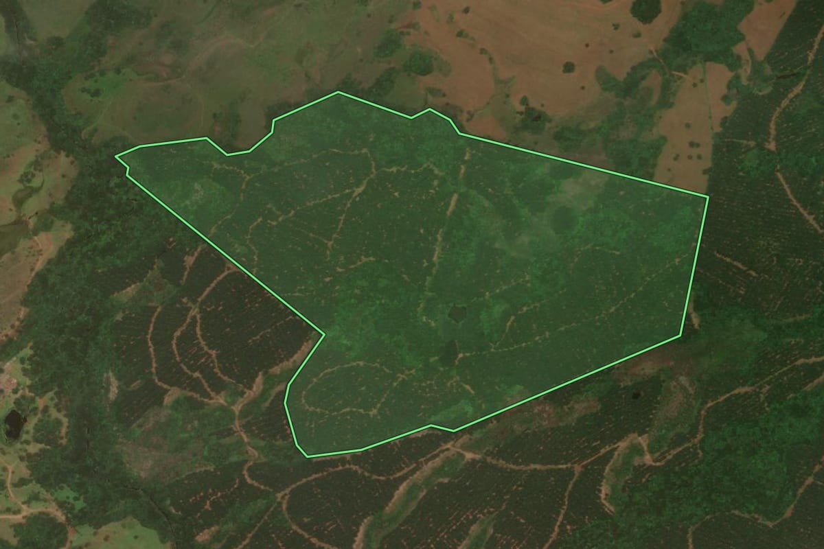 Imagem de satélite do imóvel rural em Capão Alto (SC), com o contorno declarado no CAR desenhado por cima.