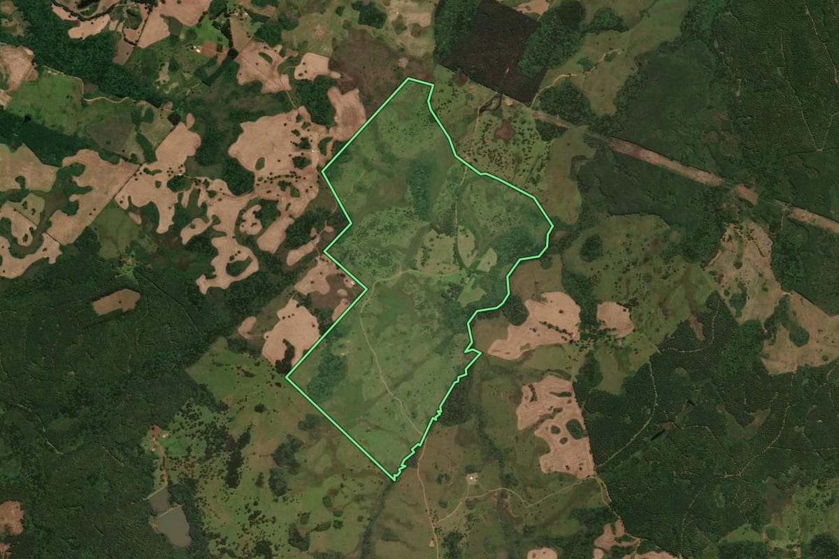 Imagem de satélite do imóvel rural em Capão Alto (SC), com o contorno declarado no CAR desenhado por cima.