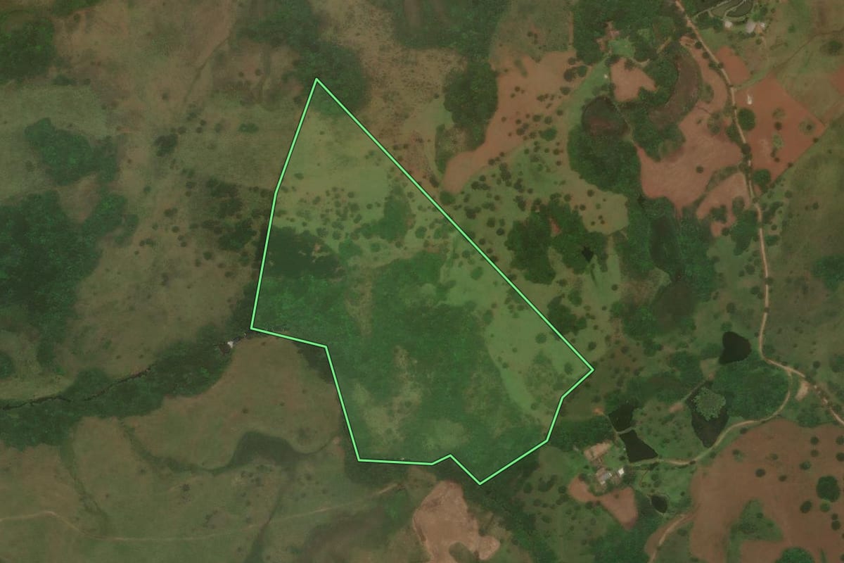 Imagem de satélite do imóvel rural em Capão Alto (SC), com o contorno declarado no CAR desenhado por cima.