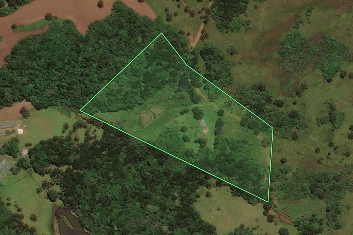 Imagem de satélite do imóvel rural em Capão Alto (SC), com o contorno declarado no CAR desenhado por cima.