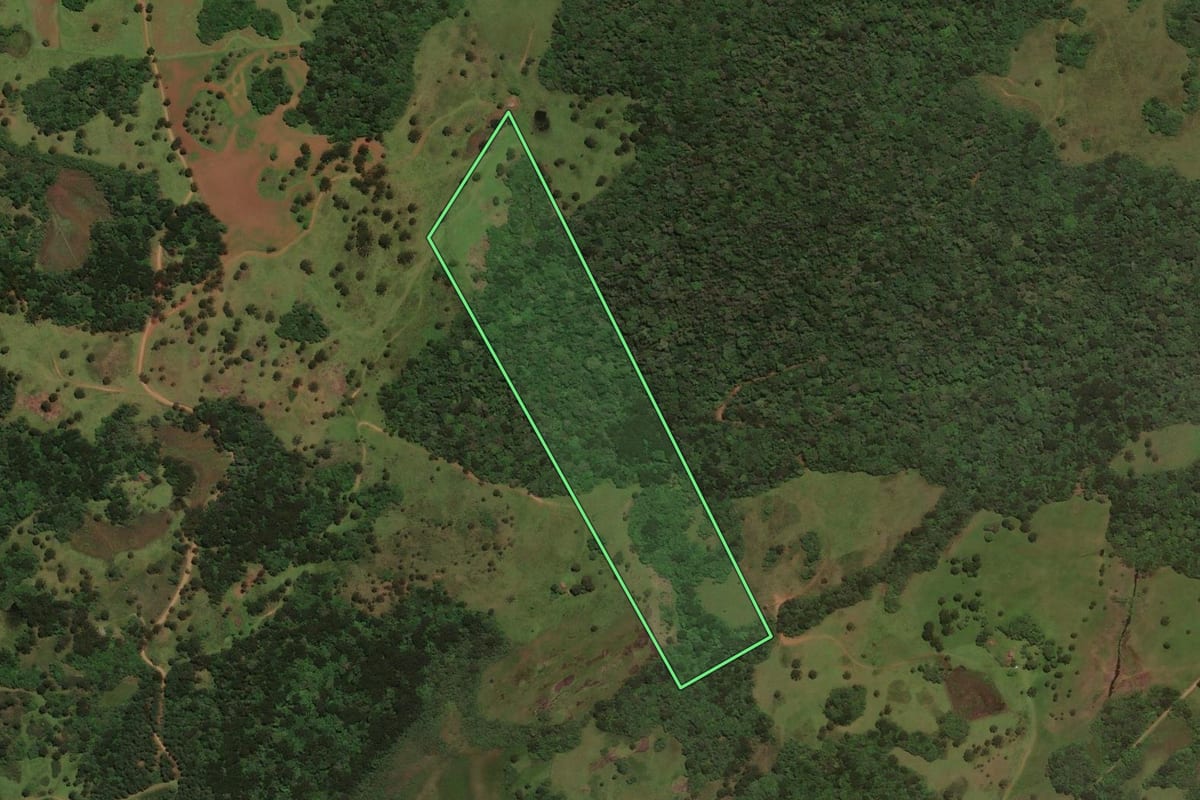 Imagem de satélite do imóvel rural em Capão Alto (SC), com o contorno declarado no CAR desenhado por cima.