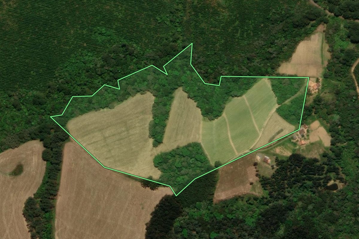Imagem de satélite do imóvel rural em Campo Alegre (SC), com o contorno declarado no CAR desenhado por cima.