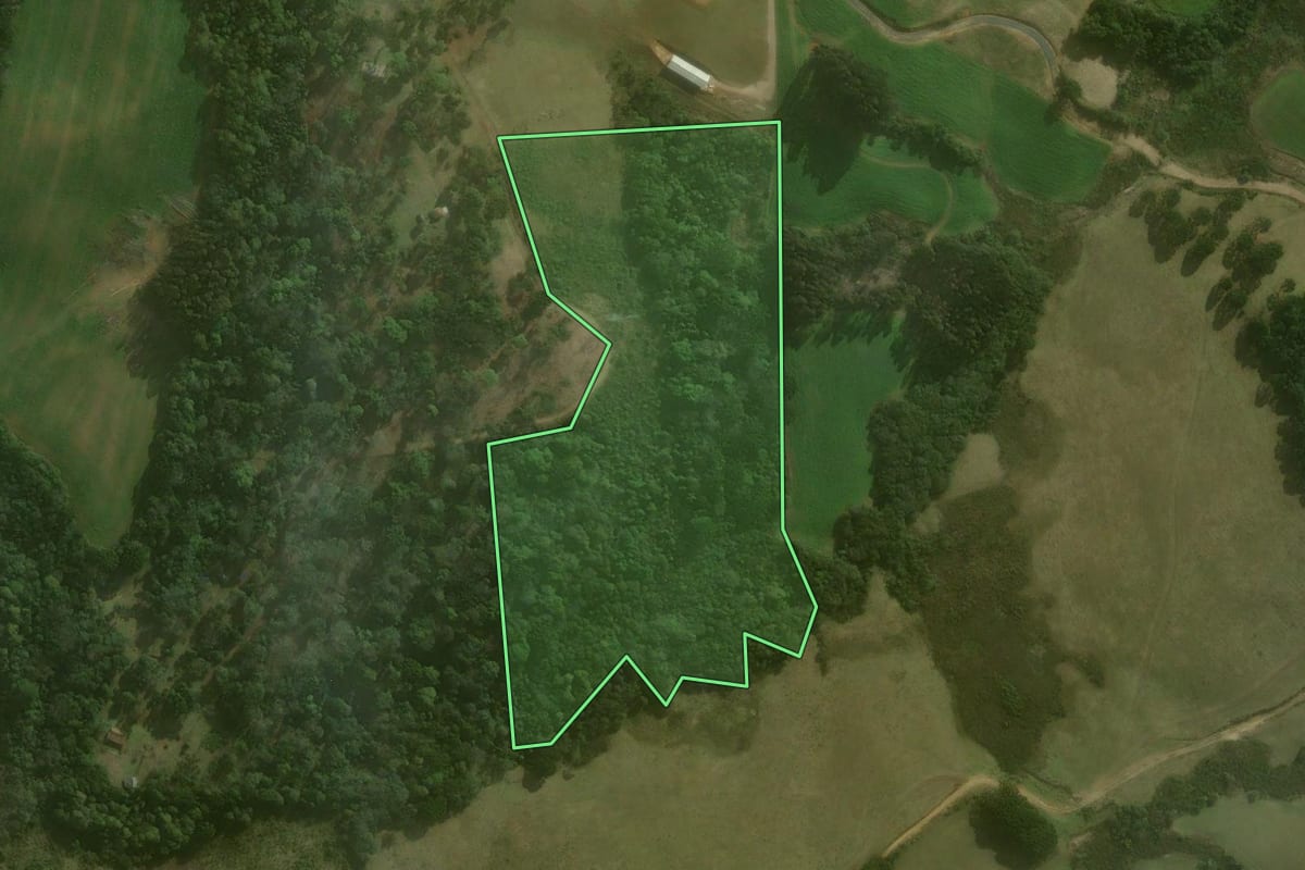 Imagem de satélite do imóvel rural em Campo Alegre (SC), com o contorno declarado no CAR desenhado por cima.