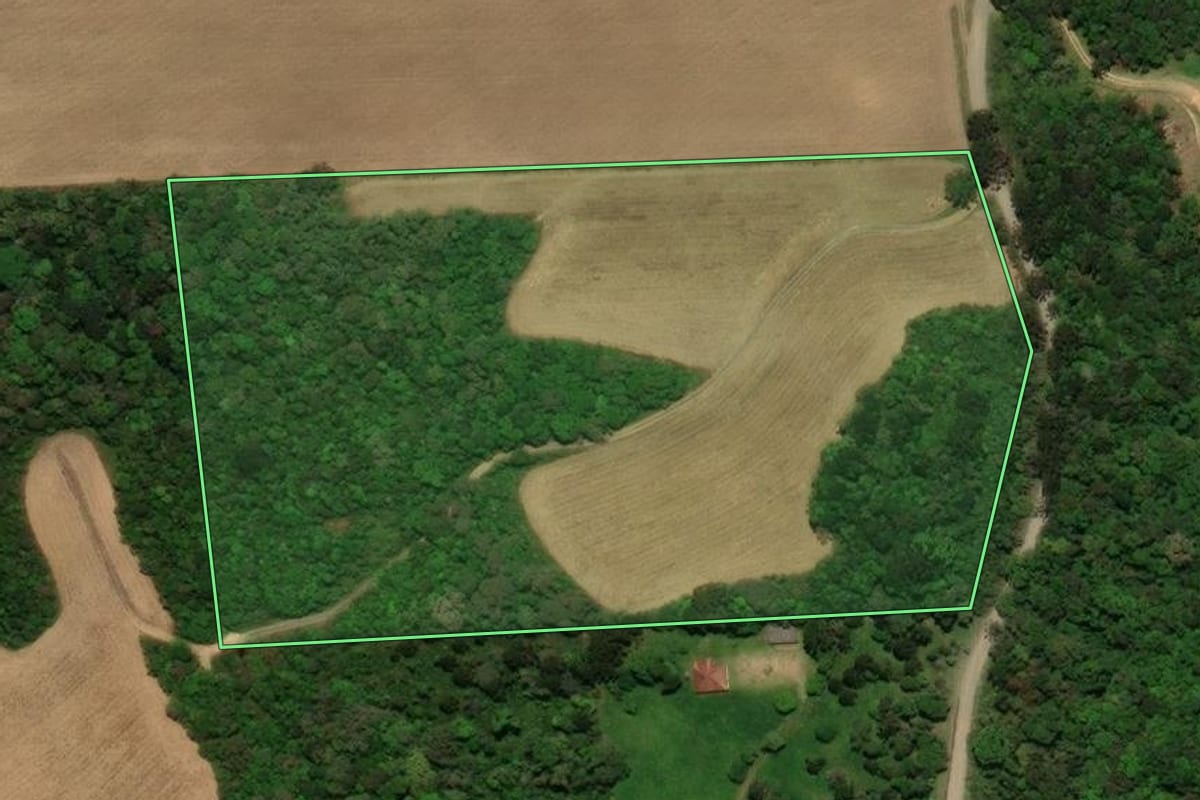 Imagem de satélite do imóvel rural em Campo Alegre (SC), com o contorno declarado no CAR desenhado por cima.