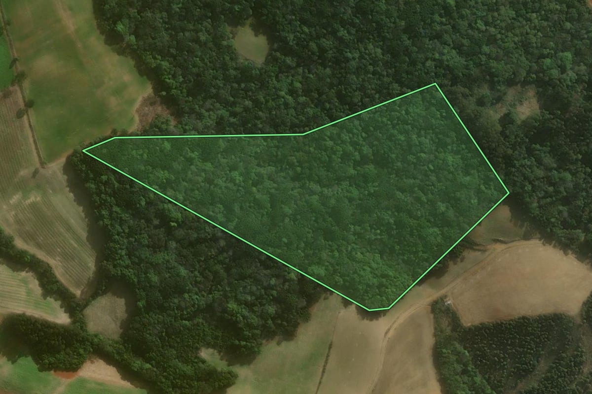 Imagem de satélite do imóvel rural em Campo Alegre (SC), com o contorno declarado no CAR desenhado por cima.