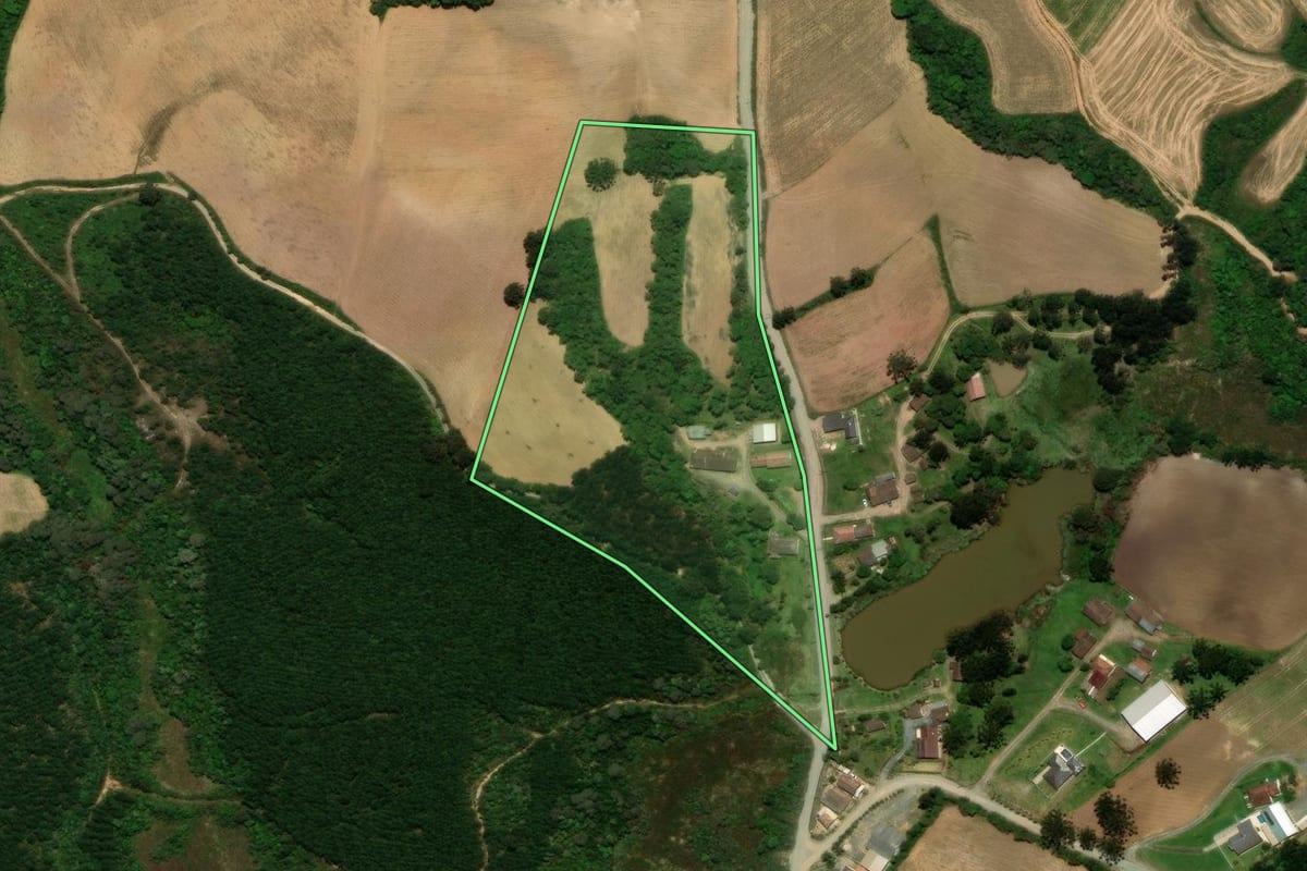 Imagem de satélite do imóvel rural em Campo Alegre (SC), com o contorno declarado no CAR desenhado por cima.