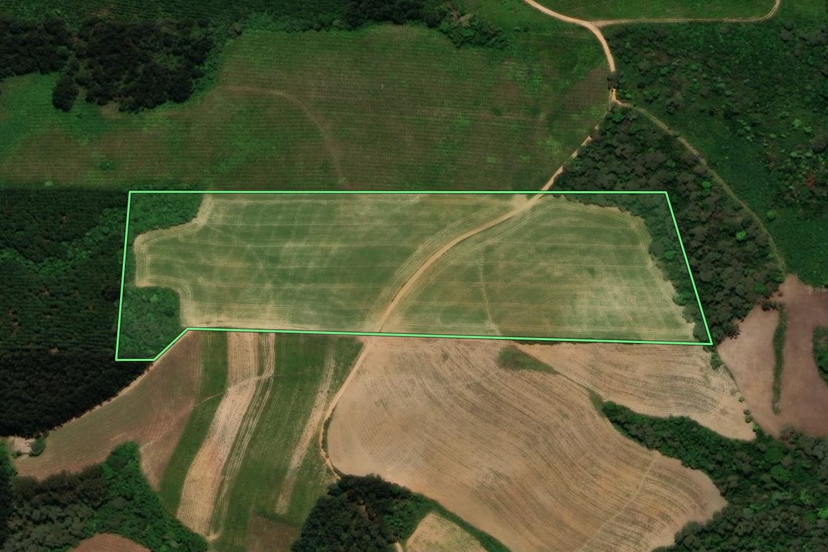 Imagem de satélite do imóvel rural em Campo Alegre (SC), com o contorno declarado no CAR desenhado por cima.