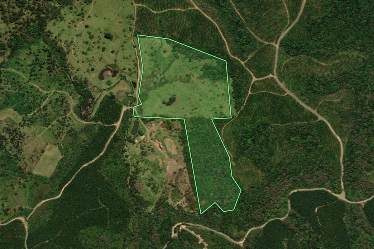 Imagem de satélite do imóvel rural em Campo Alegre (SC), com o contorno declarado no CAR desenhado por cima.