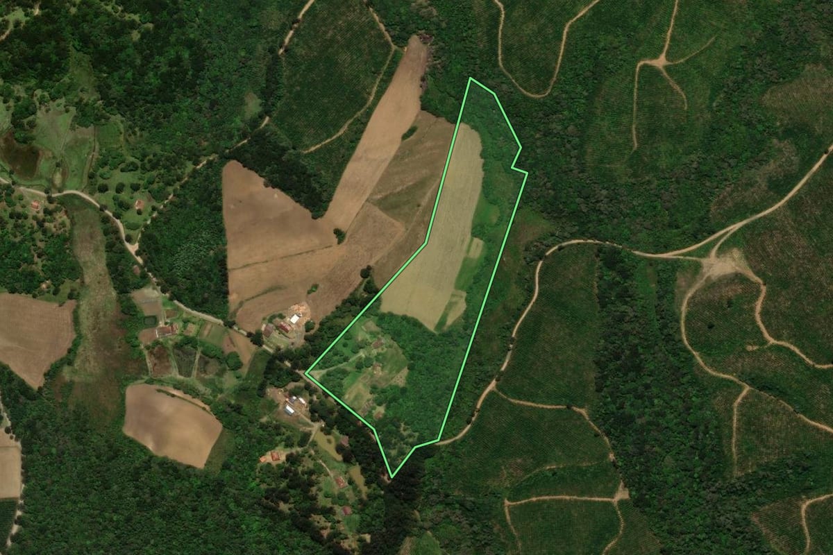 Imagem de satélite do imóvel rural em Campo Alegre (SC), com o contorno declarado no CAR desenhado por cima.