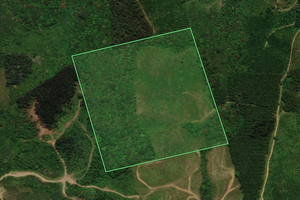 Imagem de satélite do imóvel rural em Campo Alegre (SC), com o contorno declarado no CAR desenhado por cima.