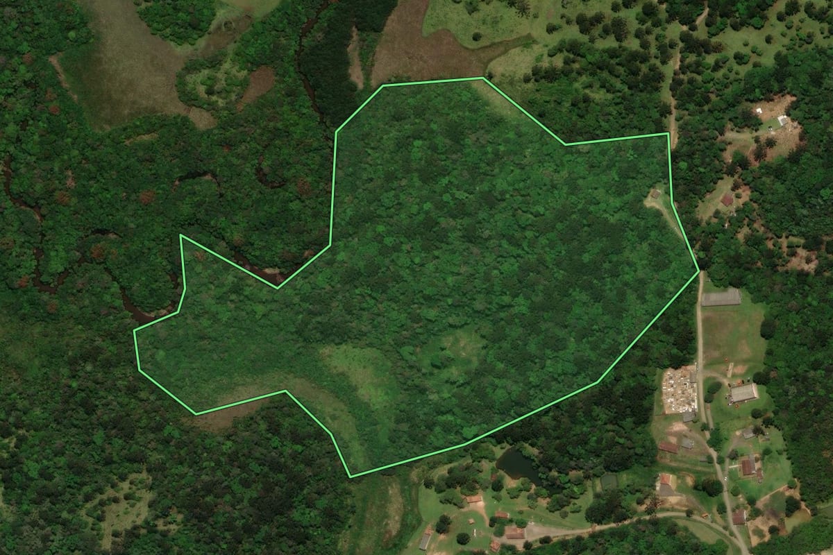 Imagem de satélite do imóvel rural em Campo Alegre (SC), com o contorno declarado no CAR desenhado por cima.