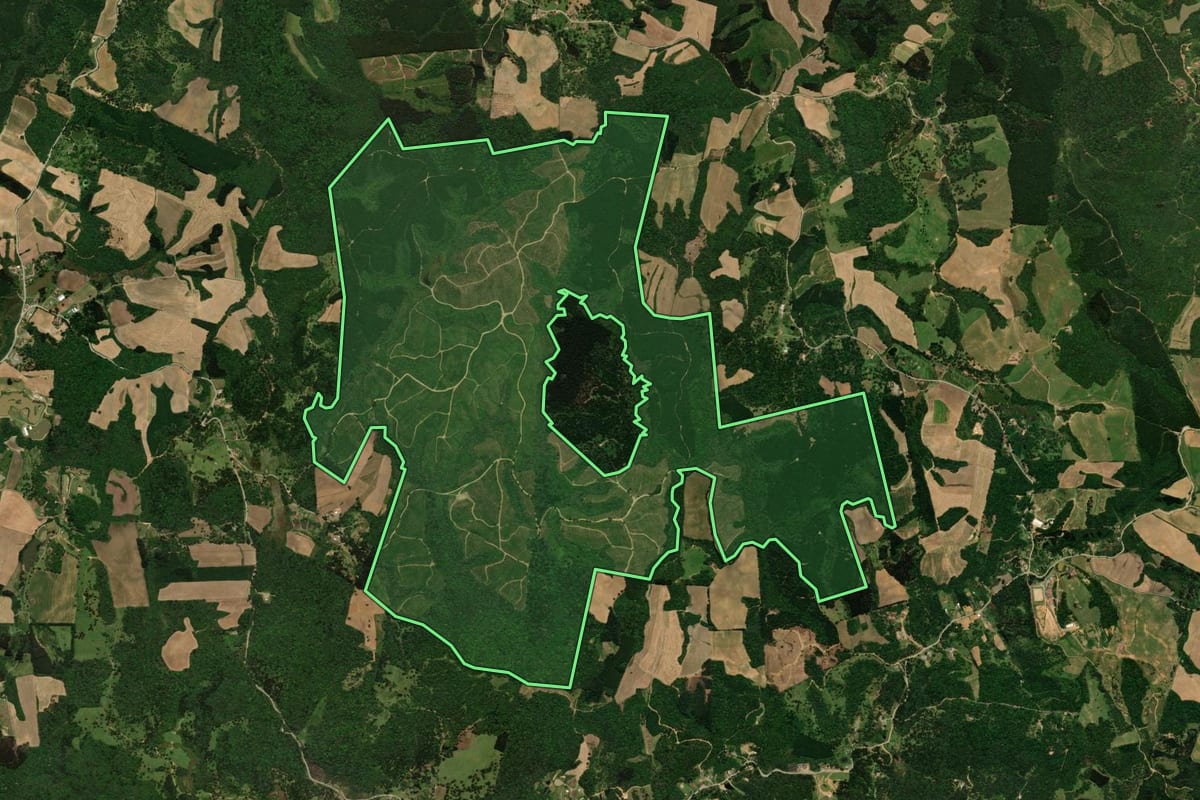 Imagem de satélite do imóvel rural em Campo Alegre (SC), com o contorno declarado no CAR desenhado por cima.