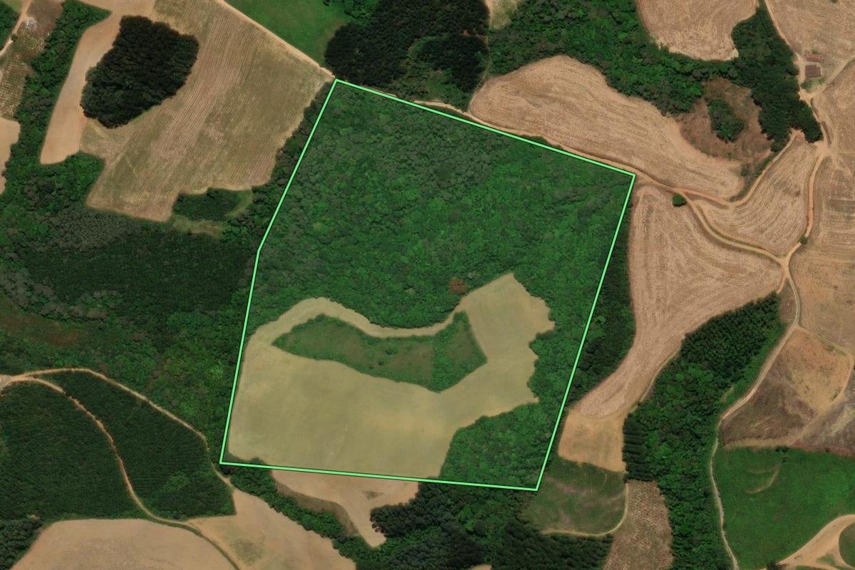 Imagem de satélite do imóvel rural em Campo Alegre (SC), com o contorno declarado no CAR desenhado por cima.
