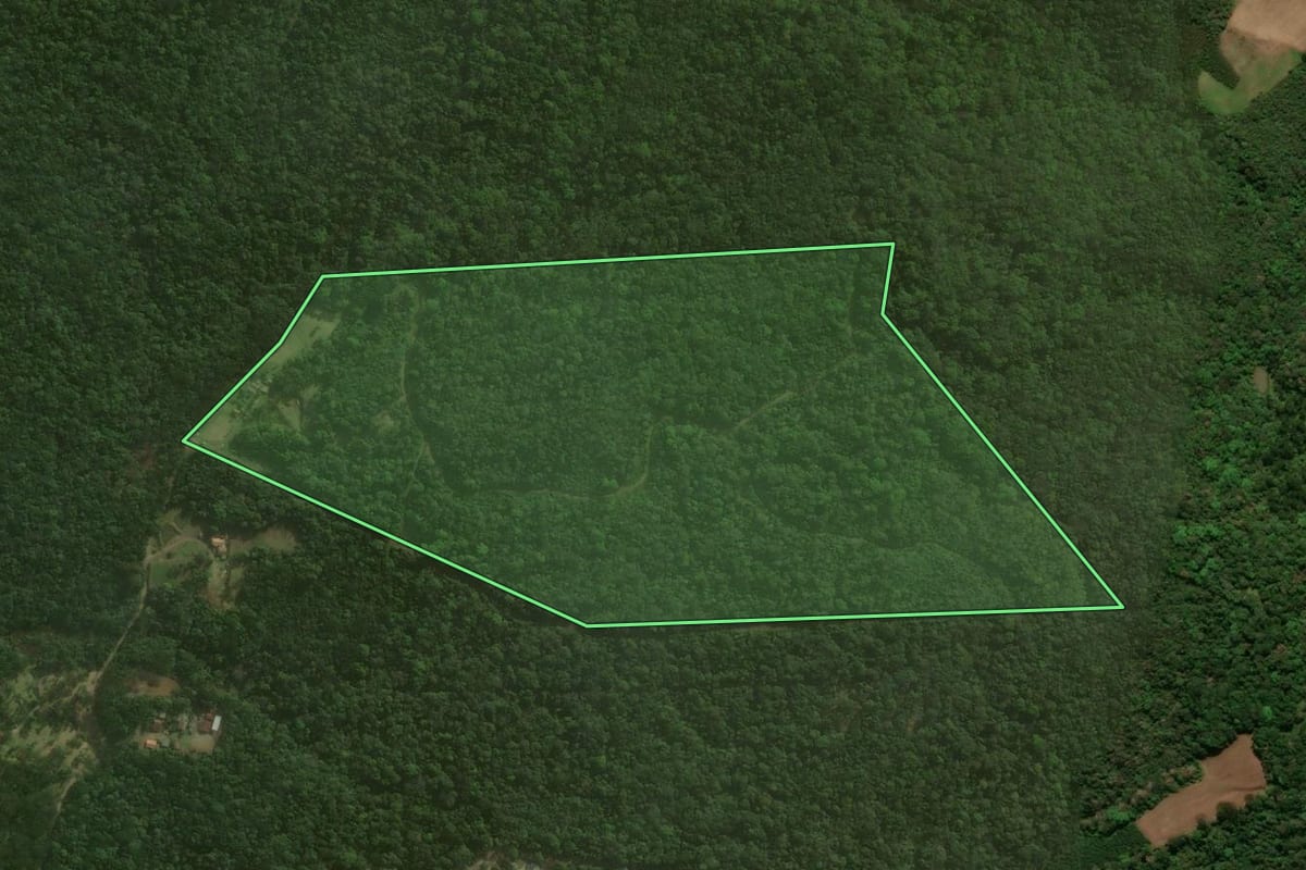 Imagem de satélite do imóvel rural em Campo Alegre (SC), com o contorno declarado no CAR desenhado por cima.