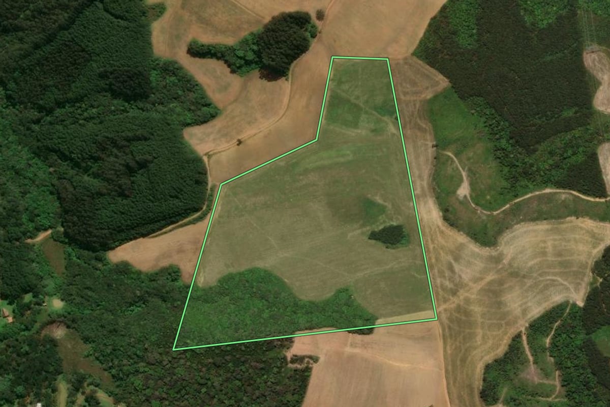 Imagem de satélite do imóvel rural em Campo Alegre (SC), com o contorno declarado no CAR desenhado por cima.