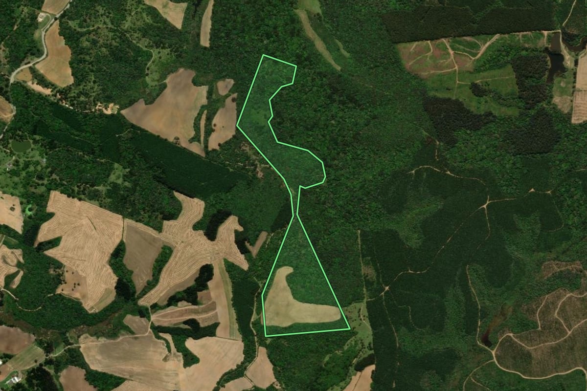 Imagem de satélite do imóvel rural em Campo Alegre (SC), com o contorno declarado no CAR desenhado por cima.
