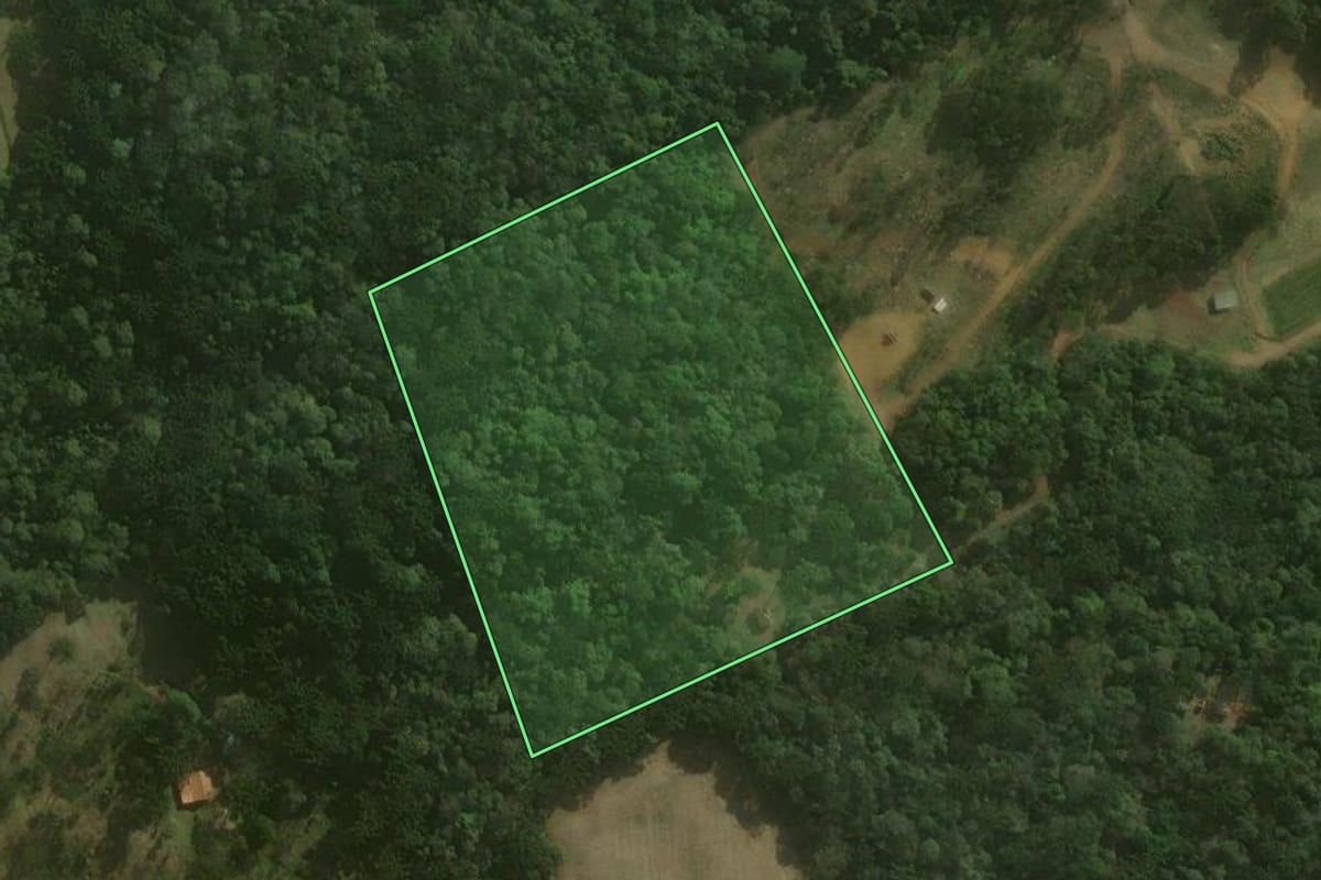 Imagem de satélite do imóvel rural em Campo Alegre (SC), com o contorno declarado no CAR desenhado por cima.