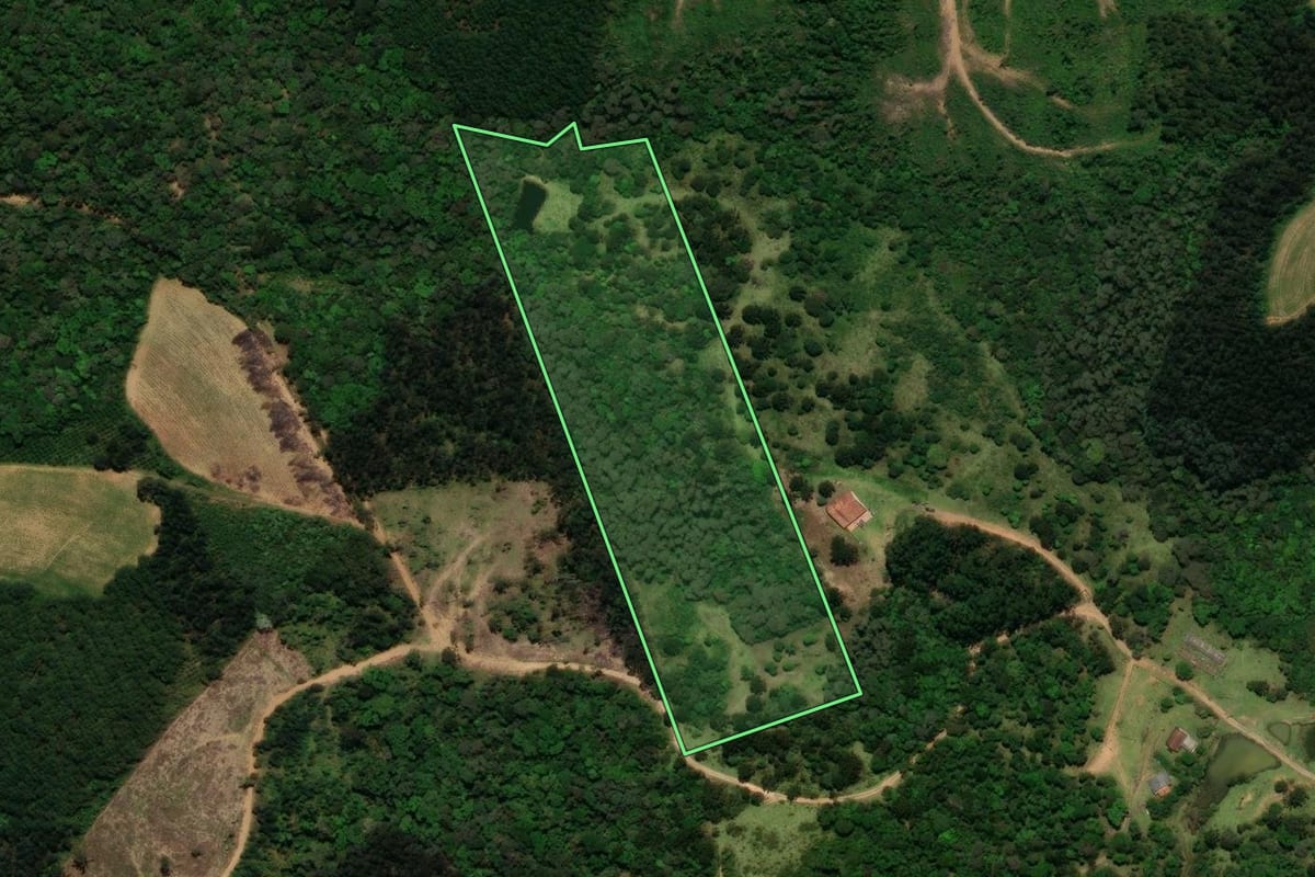 Imagem de satélite do imóvel rural em Campo Alegre (SC), com o contorno declarado no CAR desenhado por cima.