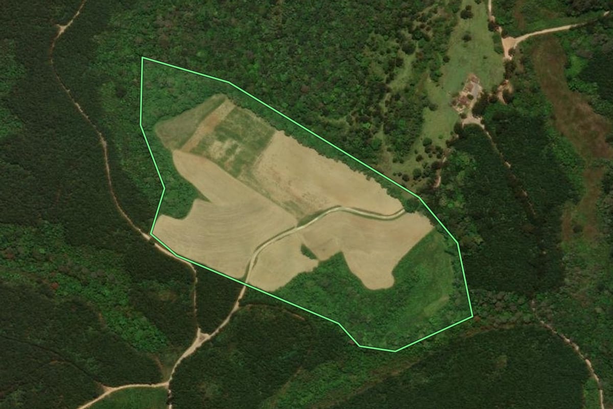 Imagem de satélite do imóvel rural em Campo Alegre (SC), com o contorno declarado no CAR desenhado por cima.