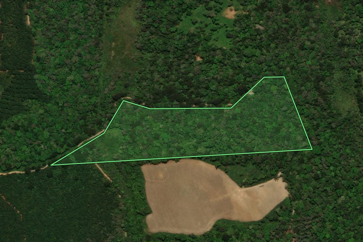 Imagem de satélite do imóvel rural em Campo Alegre (SC), com o contorno declarado no CAR desenhado por cima.