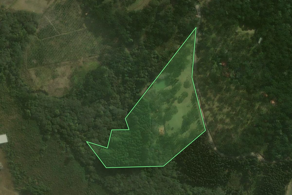 Imagem de satélite do imóvel rural em Campo Alegre (SC), com o contorno declarado no CAR desenhado por cima.
