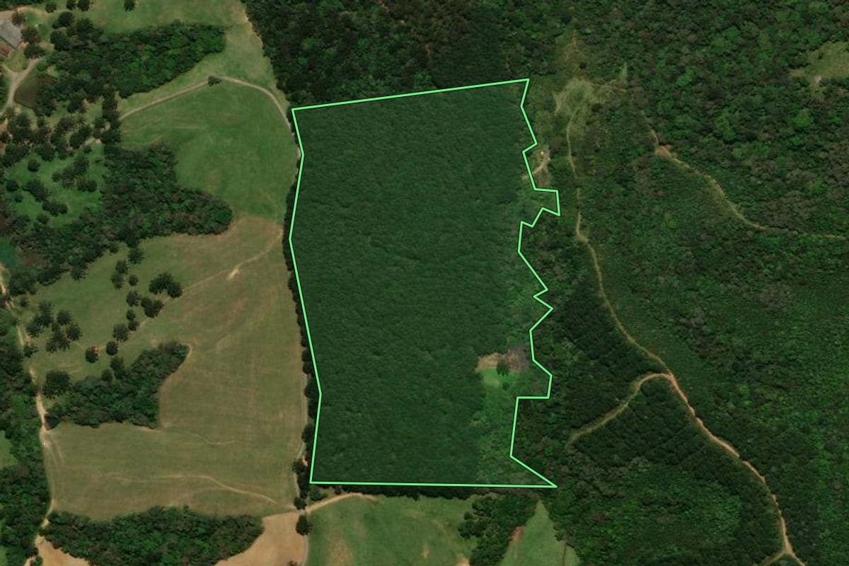 Imagem de satélite do imóvel rural em Campo Alegre (SC), com o contorno declarado no CAR desenhado por cima.
