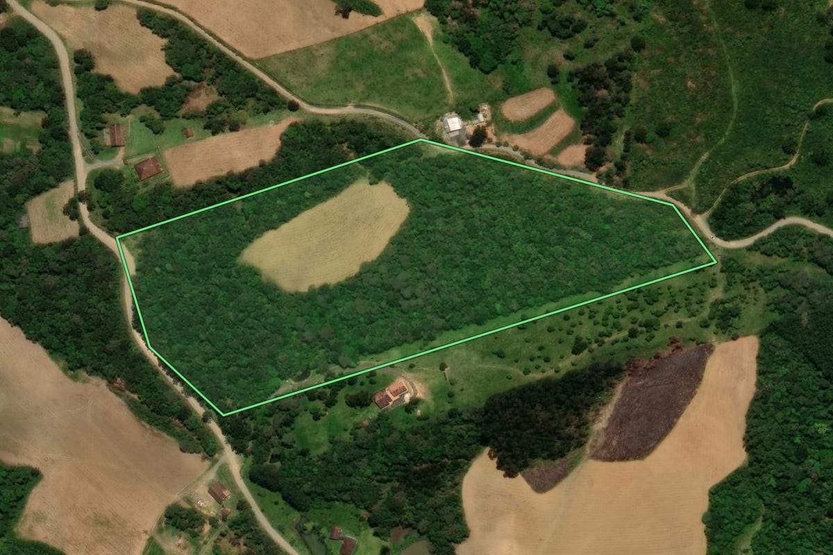 Imagem de satélite do imóvel rural em Campo Alegre (SC), com o contorno declarado no CAR desenhado por cima.