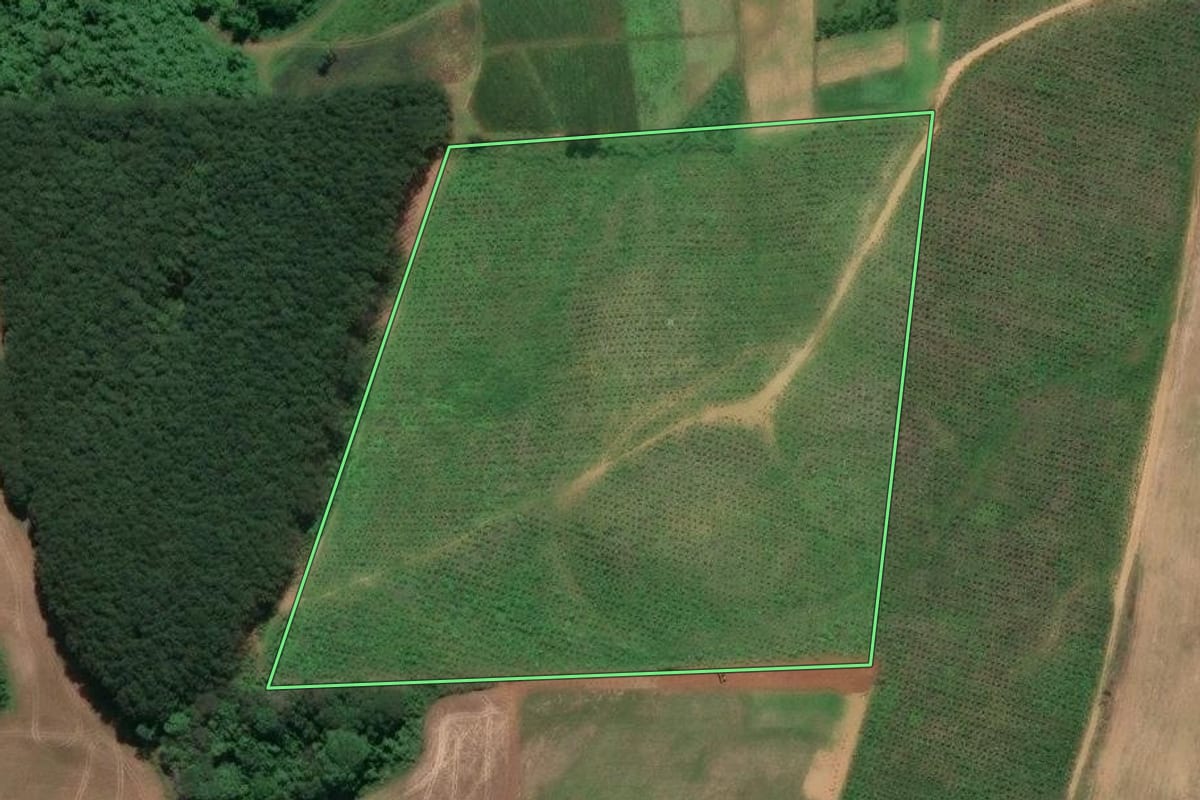 Imagem de satélite do imóvel rural em Campo Alegre (SC), com o contorno declarado no CAR desenhado por cima.