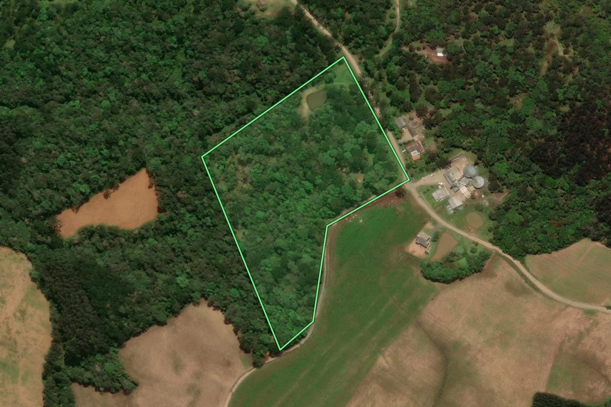 Imagem de satélite do imóvel rural em Campo Alegre (SC), com o contorno declarado no CAR desenhado por cima.