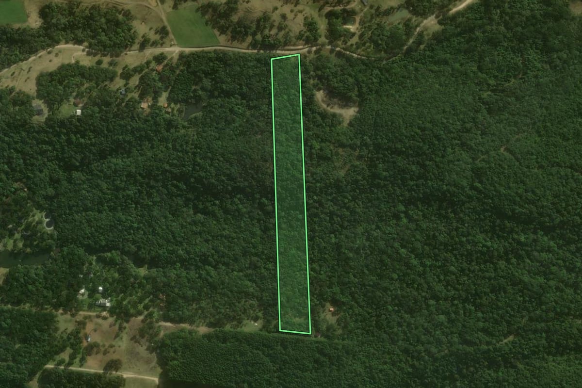 Imagem de satélite do imóvel rural em Campo Alegre (SC), com o contorno declarado no CAR desenhado por cima.